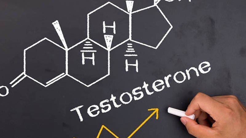 Chỉ số testosterone nmol/l giúp đánh giá sức khỏe sinh sản ở nam giới 