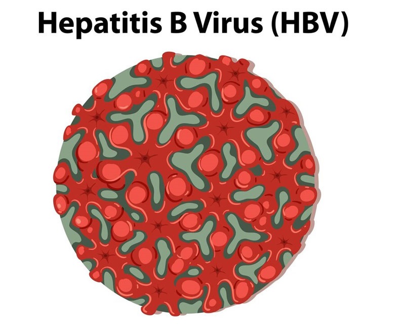 Virus viêm gan B có tỷ lệ lây nhiễm cao ở mọi đối tượng