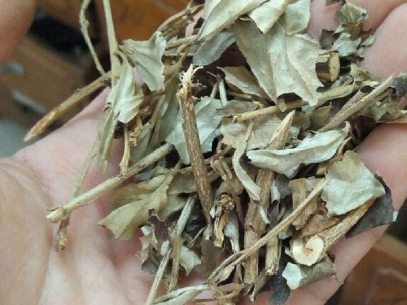 Rễ, lá và thân cây khổ sâm được bào chế thành dược liệu khô để sử dụng dần 