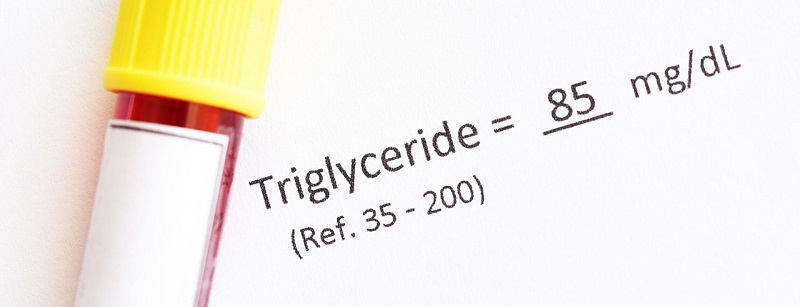 Chỉ số Triglyceride giúp bác sĩ có căn cứ để chẩn đoán bệnh lý về tim và mỡ máu