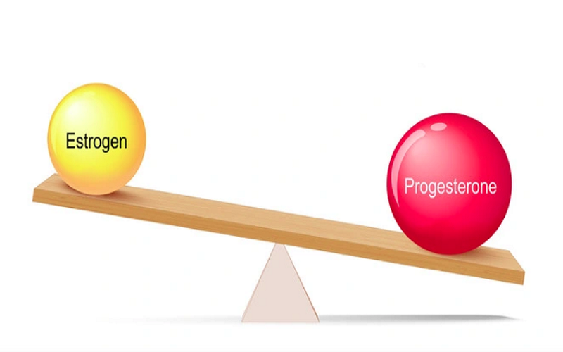 Mất cân bằng giữa estrogen và progesteron là một nguyên nhân gây loạn sản vú