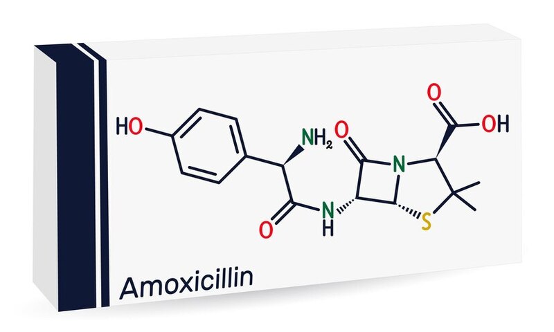 Người bị suy thận và bị bệnh gan không nên sử dụng Amoxicillin
