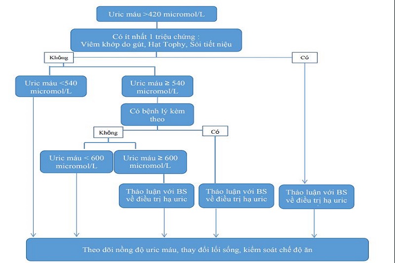 Sơ đồ tiếp cận tăng uric máu