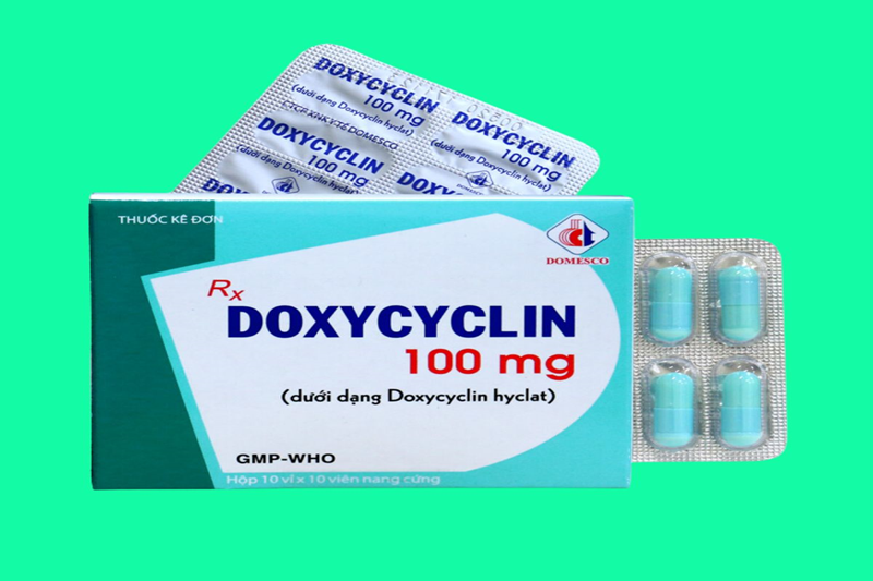 Doxycycline là thuốc chính trong phác đồ điều trị bệnh Brucella