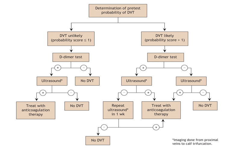 Lưu đồ tiếp cận chẩn đoán huyết khối tĩnh mạch sâu chi dưới