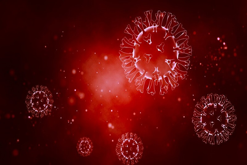 Chủng virus A là tác nhân gây nên bệnh cúm A