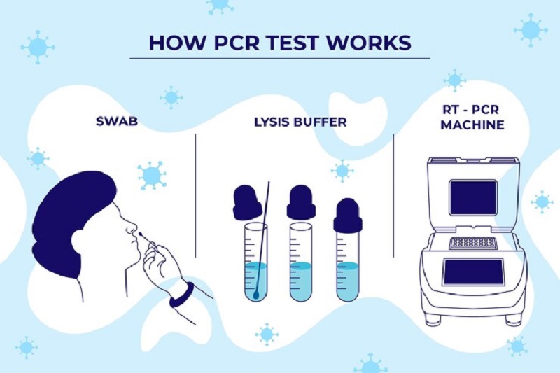 Mô phỏng quy trình xét nghiệm PCR chẩn đoán cúm A/H1pdm