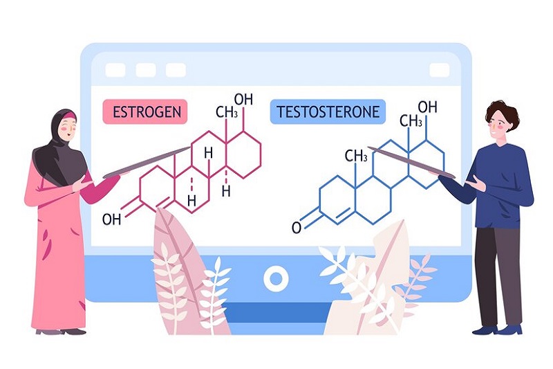 Testosterone là một trong các hormone nội tiết tham gia vào nhiều quá trình của cơ thể 