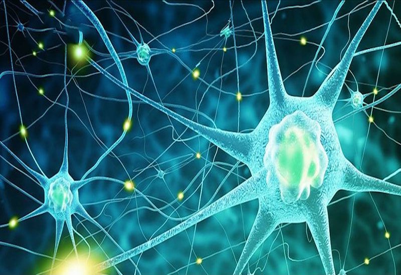 U xơ thần kinh được gây ra bởi nguyên nhân gì?
