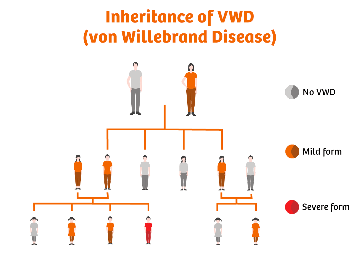 Cơ chế di truyền của bệnh Von Willebrand