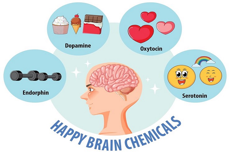 Hình ảnh mô phỏng 4 hormone hạnh phúc