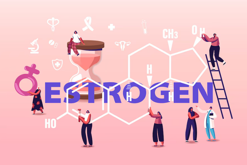 Tăng estrogen quá mức có thể khiến nữ giới bị u máu trong gan