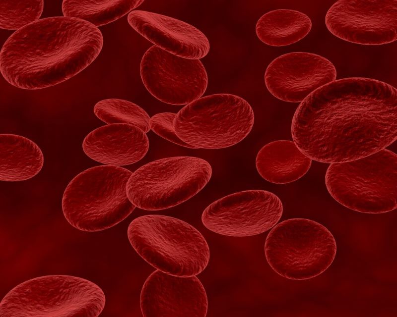 Người bị Beta Thalassemia thể nặng có thể dẫn đến bị thiếu máu nghiêm trọng