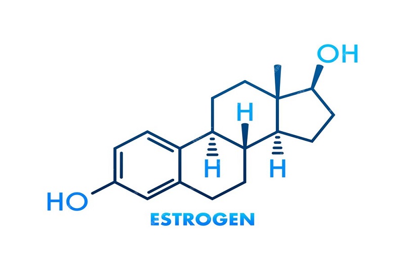 Nồng độ Estrogen tăng bất thường khiến nữ giới có nguy cơ bị lạc nội mạc trong cơ tử cung