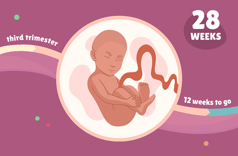 Siêu âm thai 28 tuần có an toàn không?
