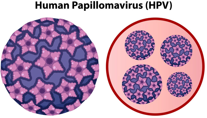 Virus HPV type 16 được phân loại vào nhóm nguy cơ cao 