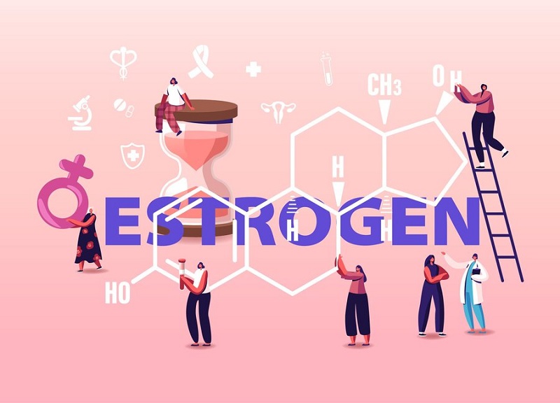 Tăng nồng độ estrogen quá mức có thể hình thành đa nhân xơ tử cung