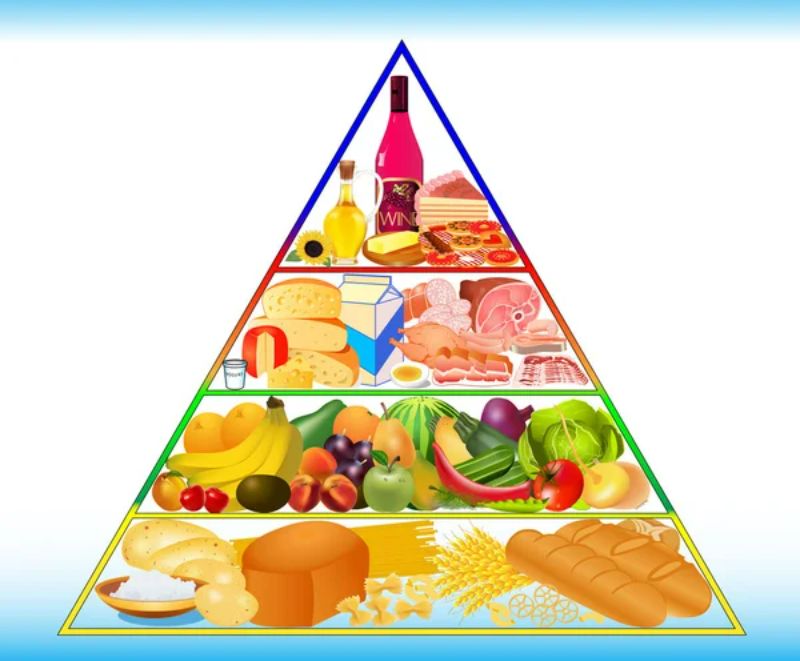 Giai đoạn 1 của kim tự tháp dinh dưỡng liên quan đến điều gì?
