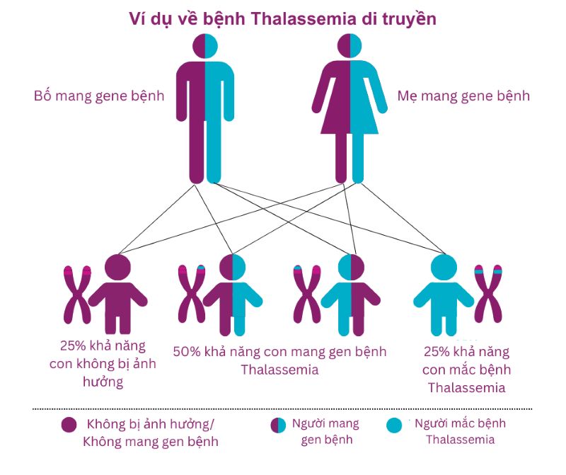 25% khả năng sinh con bị bệnh Thalassemia do nhận được cả gene bệnh của bố và gene bệnh của mẹ truyền cho