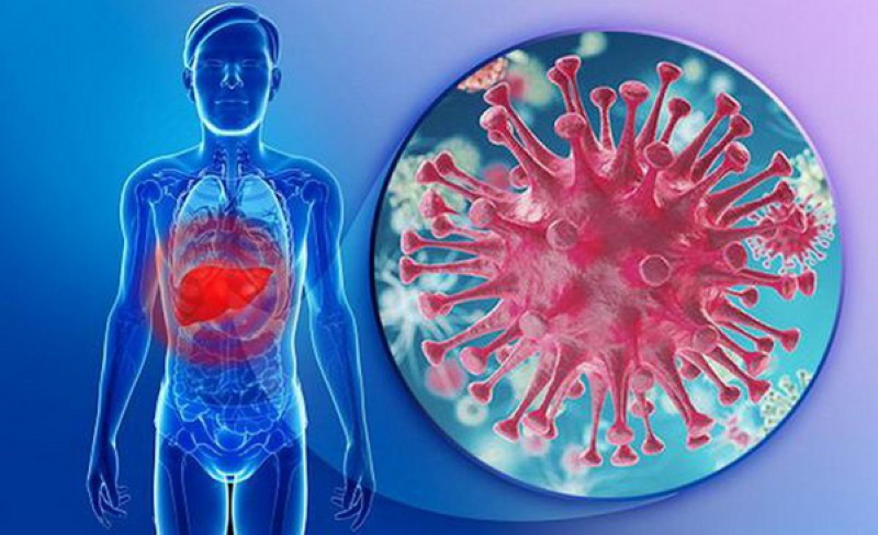 Tình trạng viêm nhiễm của gan do các loại virus gây ra được gọi là viêm gan siêu vi 
