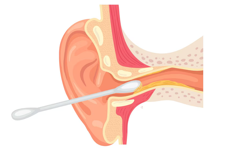 Ráy tai bảo vệ các bộ phận bên trong tai trước sự xâm nhập của tác nhân bên ngoài