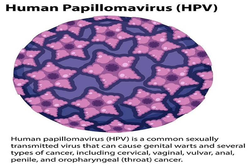 Một số chủng của virus HPV có nguy cơ gây ung thư