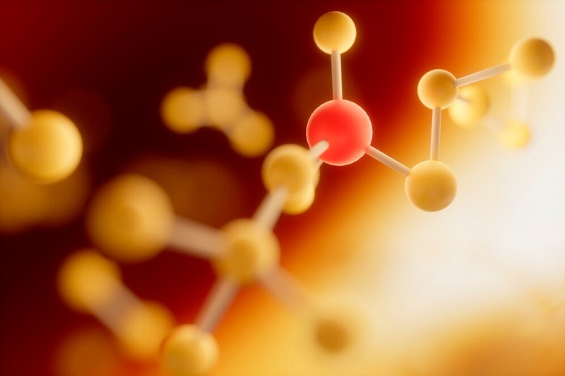 Triglyceride - một dạng của chất béo ở trong máu