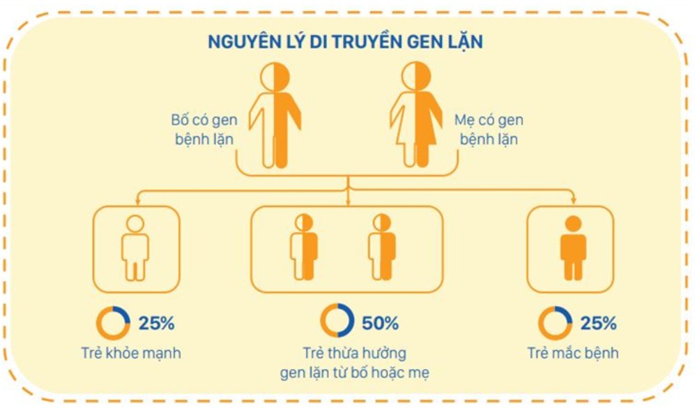 Xác suất di truyền của bệnh lý di truyền lặn trên nhiễm sắc thể thường 