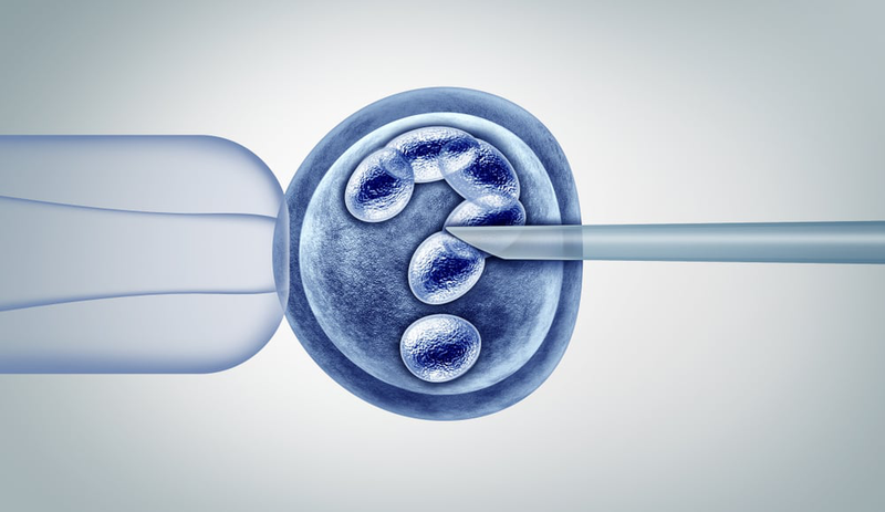 Chuyển phôi được coi là khâu quan trọng trong quá trình thực hiện IVF của các cặp vợ chồng 