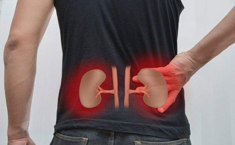 Tình trạng suy thận xảy ra khi các chức năng của thận dần suy giảm 