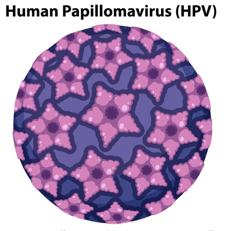 Virus HPV có thể tồn tại trong cơ thể và ngoài môi trường