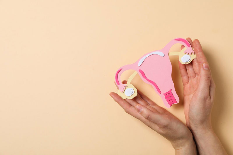 Phôi sẽ được đưa vào tử cung của mẹ và theo dõi