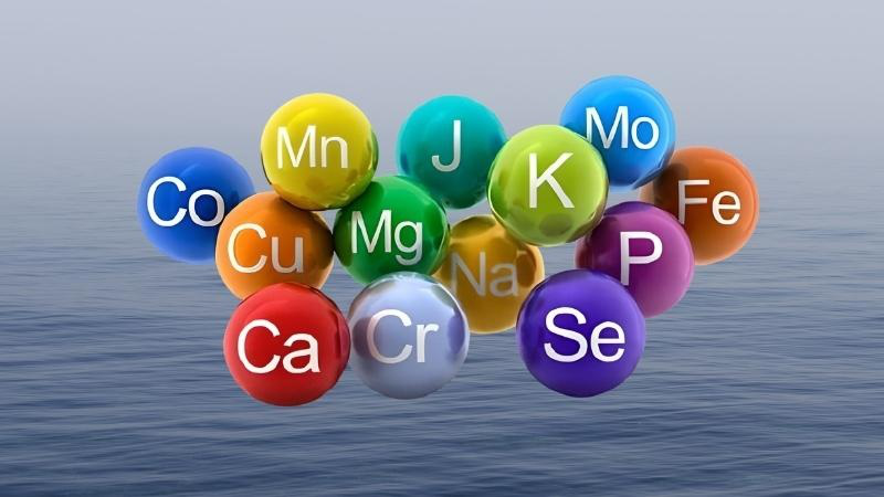 Chất điện giải có vai trò quan trọng trong việc duy trì sức khỏe 