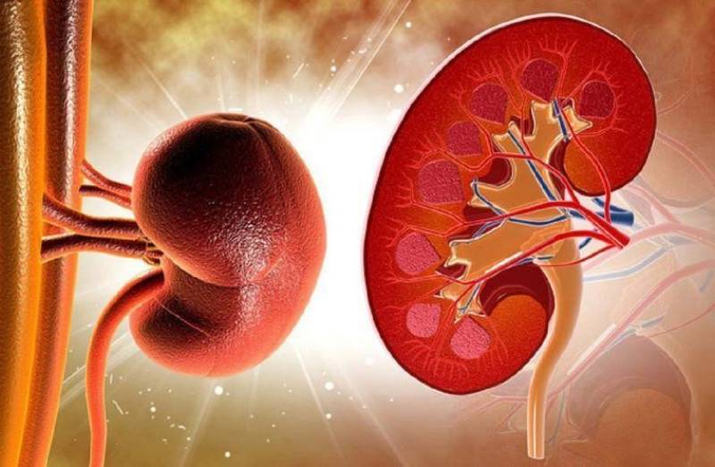 Viên uống Minh Tuệ Vương giúp tăng cường chức năng thận
