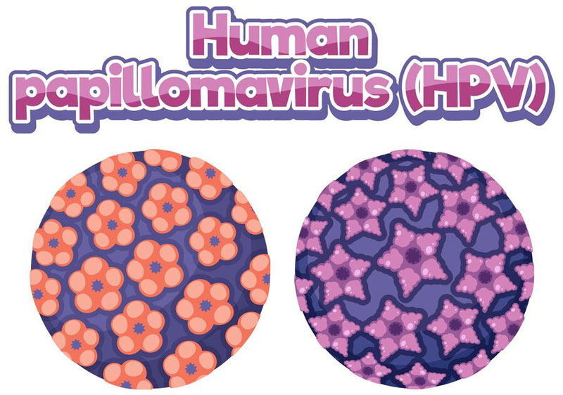 HPV type 18 - chủng HPV nguy hiểm, thuộc nhóm nguy cơ cao 