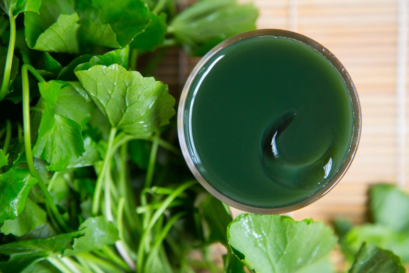 Uống rau má có giảm cân không là vấn đề nhiều người quan tâm 