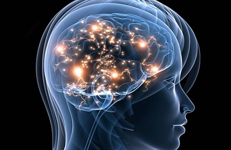 Não bộ là cơ quan trung tâm của hệ thần kinh, điều khiển mọi hoạt động của cơ thể và tâm trí 