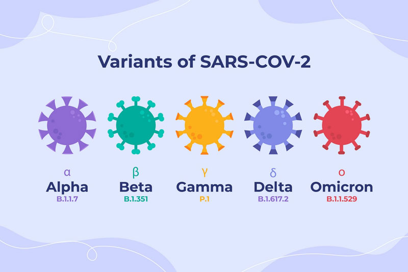 Omicron XEC là một biến thể SARS-CoV-2 được lai tạo giữa biến thể KS.1.1 và KP.3.3