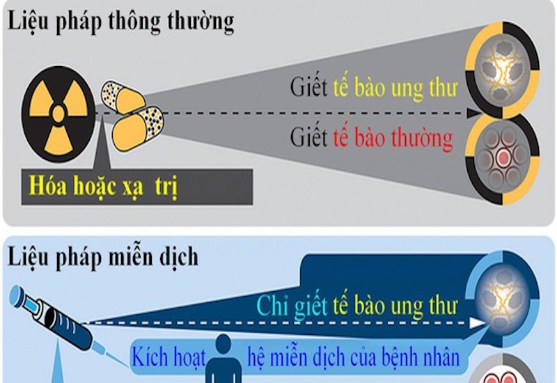 Sử dụng vắc xin ung thư để tạo ra phản ứng miễn dịch chống lại bệnh