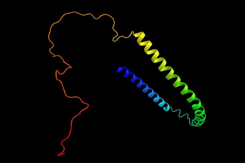 Tích tụ bất thường của protein α‑synuclein là yếu tố then chốt gây bệnh teo đa hệ thống
