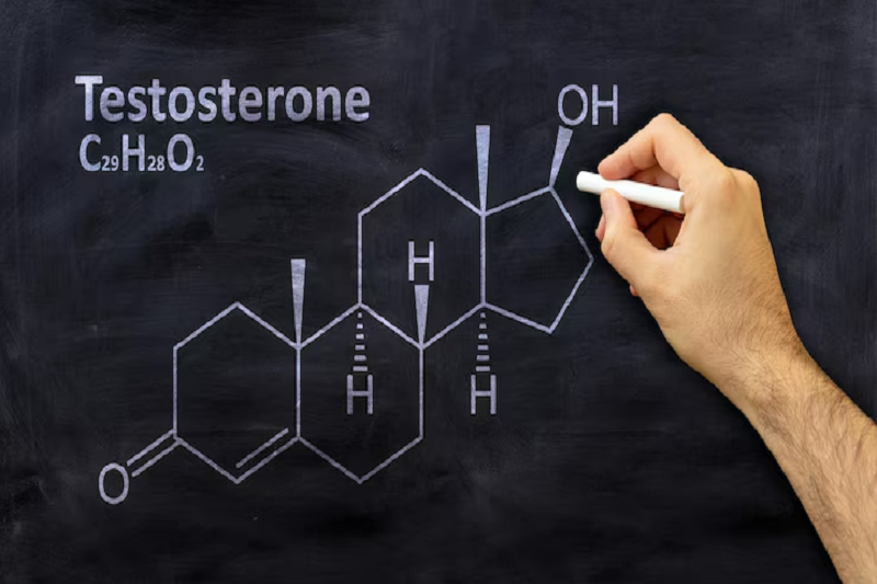 Nồng độ testosterone cao dễ làm tăng nhu cầu sinh lý ở nam giới