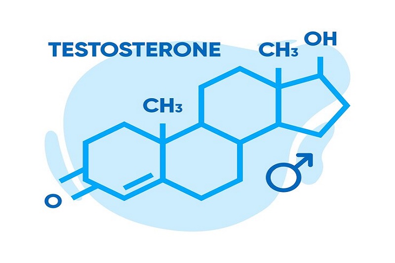 Hormone testosterone nam tăng mạnh khi hôn