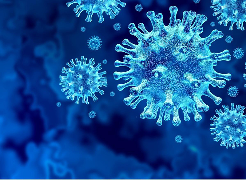 Nguyên nhân chính gây nên zona thần kinh là do virus Varicella Zoster 