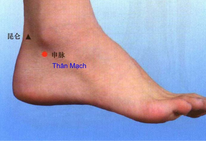 Huyệt Thân Mạch là một trong những huyệt đạo quan trọng của cơ thể 