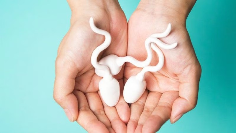 Tinh trùng loãng có tự khỏi được không - câu trả lời phụ thuộc vào nguyên nhân gây bệnh 