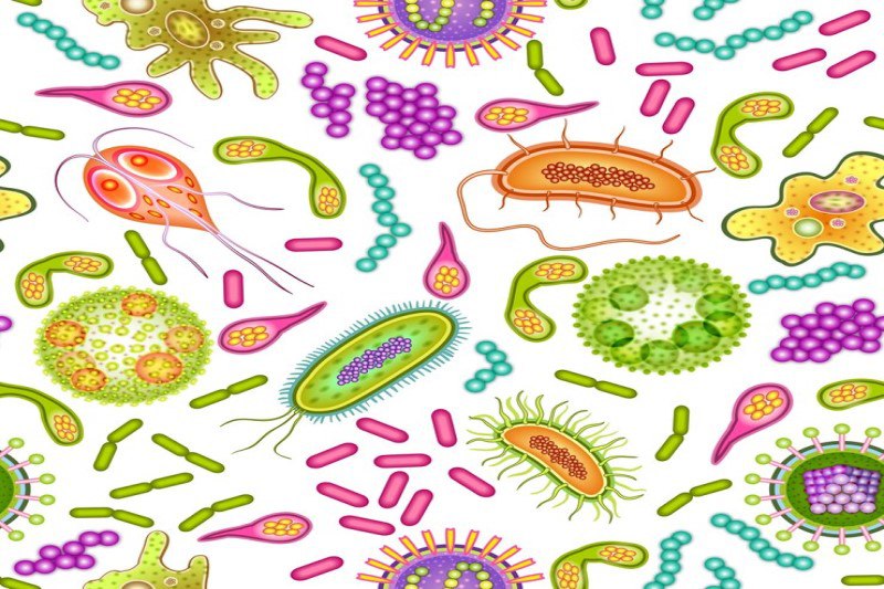 Nguyên nhân gây nhiễm trùng này rất đa dạng, bao gồm các tác nhân vi sinh vật như vi khuẩn, virus, nấm, ký sinh trùng