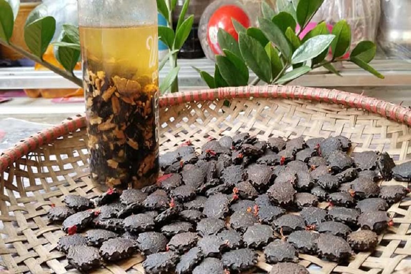 Rượu ngâm hạt gấc để xoa bóp khớp bị nhức mỏi