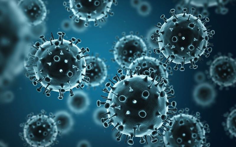  Virus Adeno là nhóm virus phổ biến gây bệnh viêm kết mạc