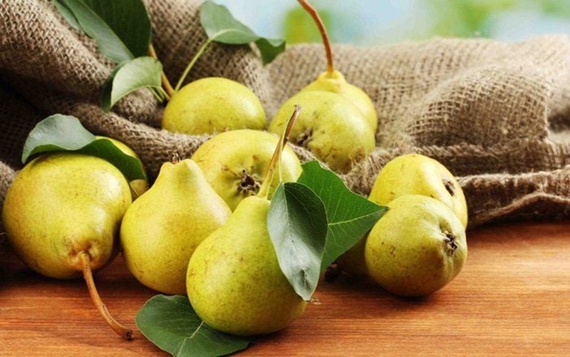 Nhiều người dùng quả lê để chữa ho 