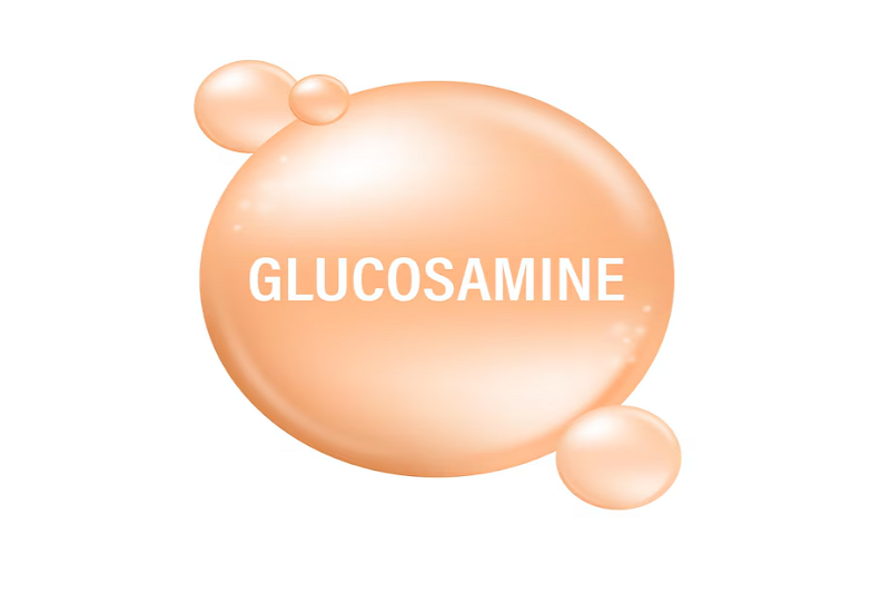 Glucosamine giúp bảo vệ cấu trúc sụn khớp